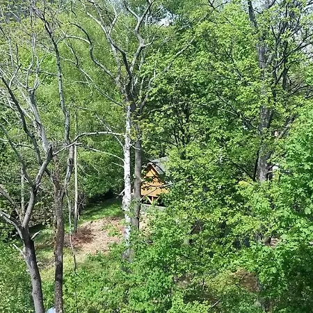 Lejlighed Sniezka Karpacz