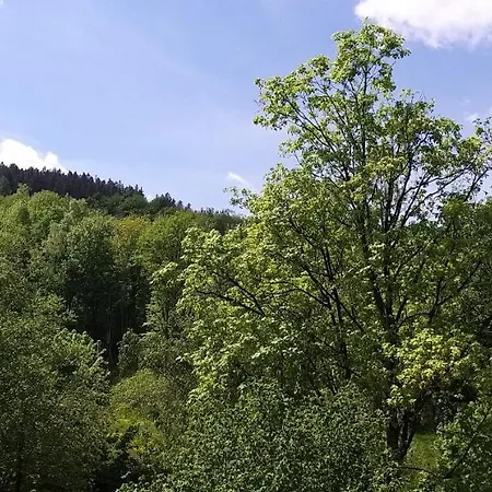 Sniezka Lejlighed Karpacz